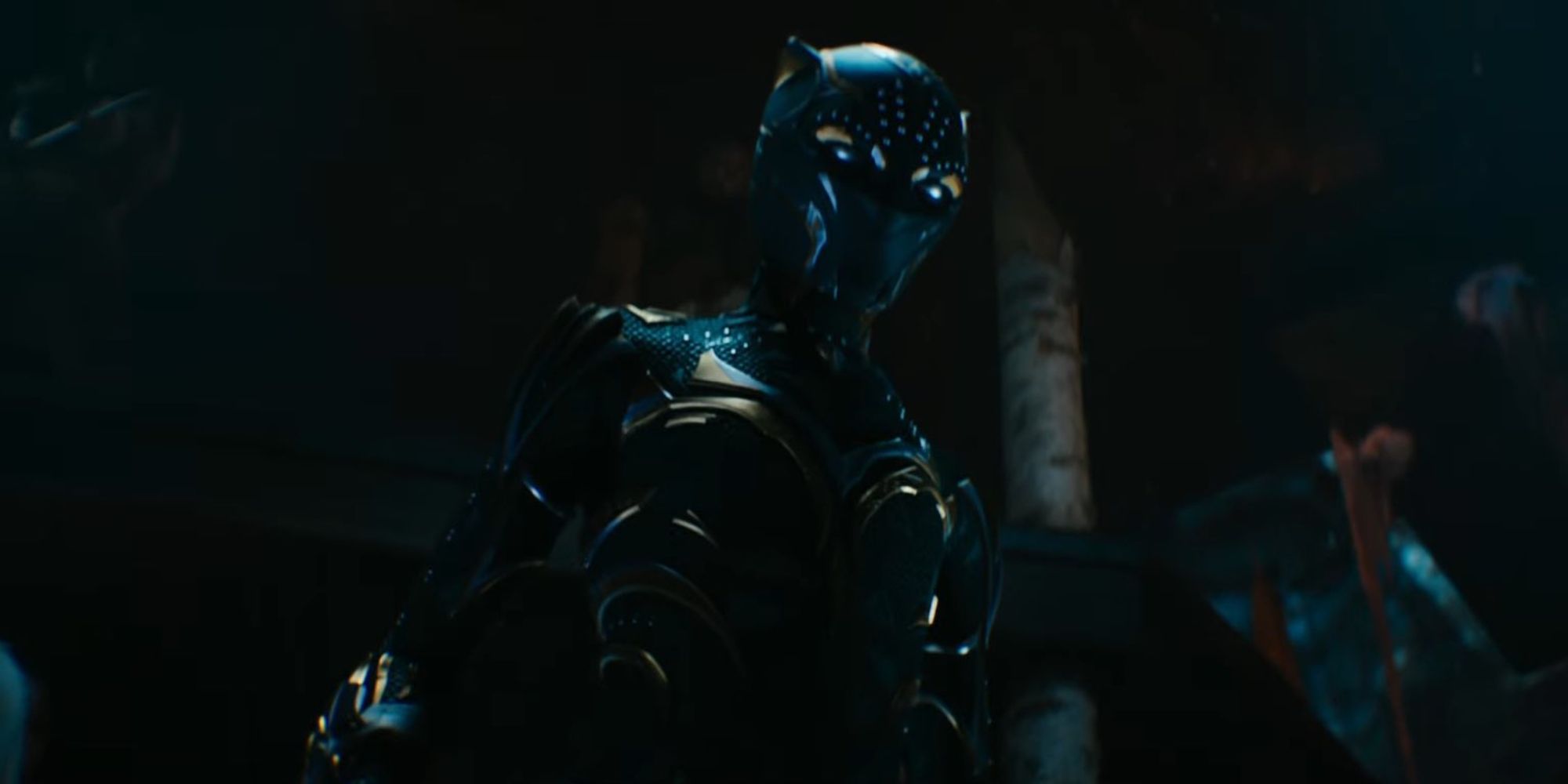 The new Black Panther appears in Black Panther: Wakanda Forever.