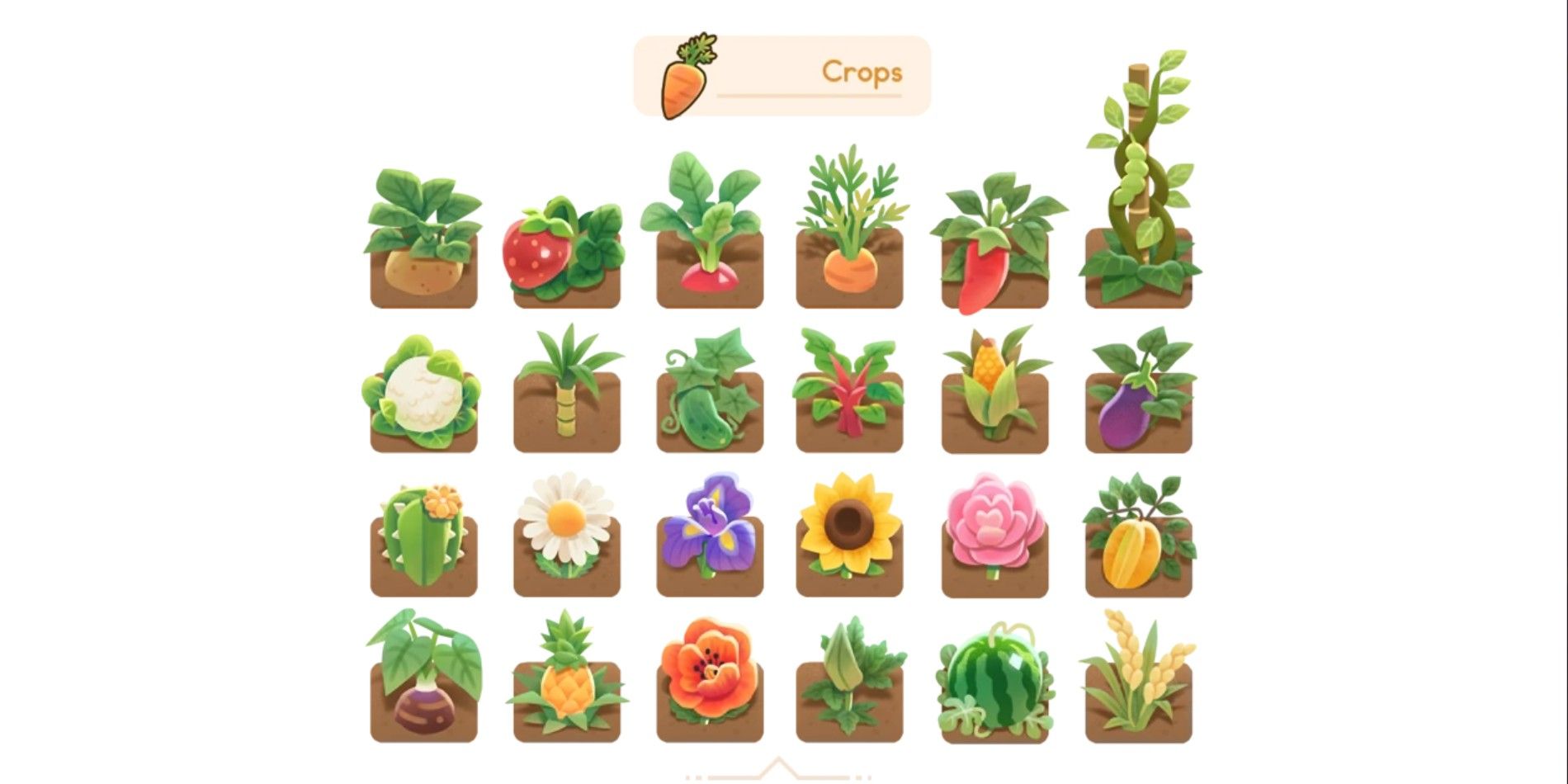The Best Crops For Each Season in Coral Island