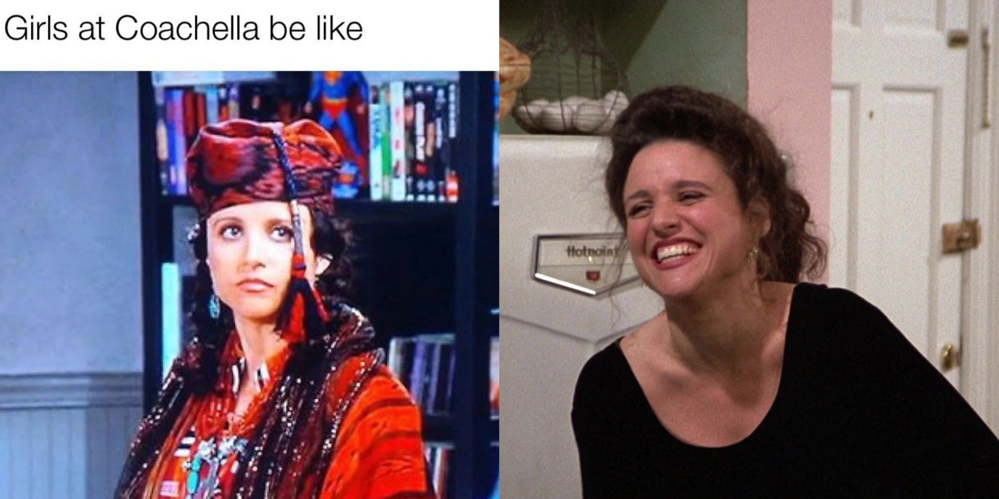 Seinfeld 10 Memes That Perfectly Sum Up Elaine S Character