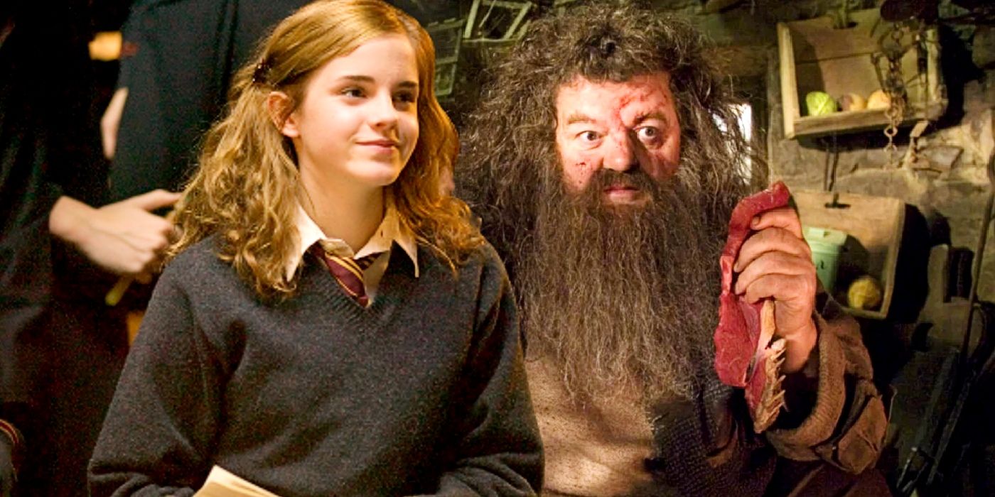 Harry Potter y Emma Watson