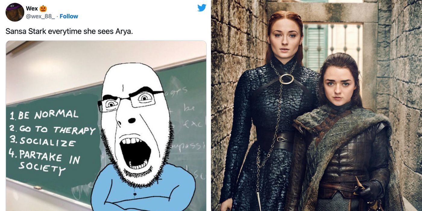 Game Of Thrones: 10 Best Tweets About Arya & Sansa's Relationship