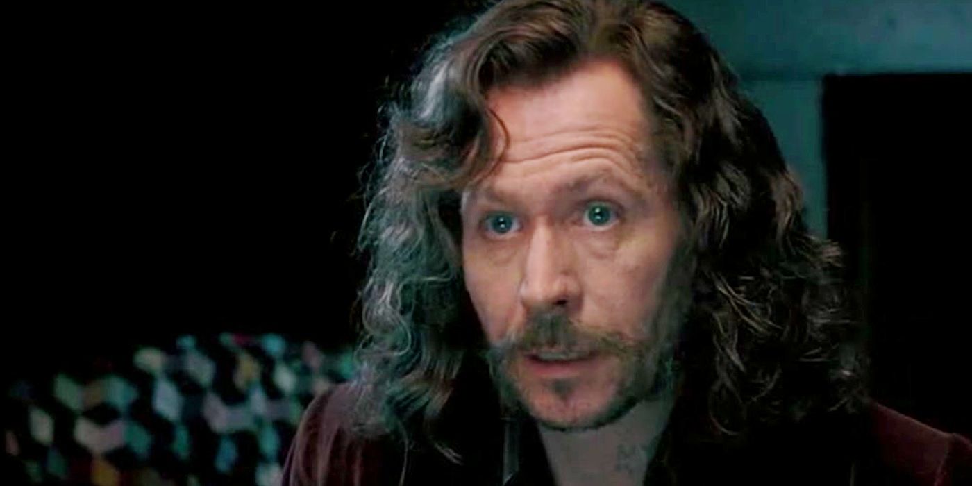 Harry Potter Star Recalls Mistaking Gary Oldman For Cleaning Staff