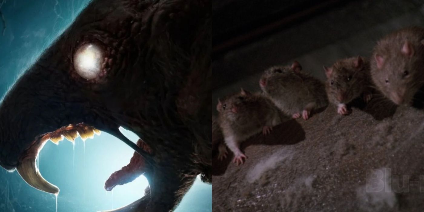 Graveyard Rats vs Graveyard Shift