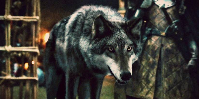 Grey Wind in Game of Thrones