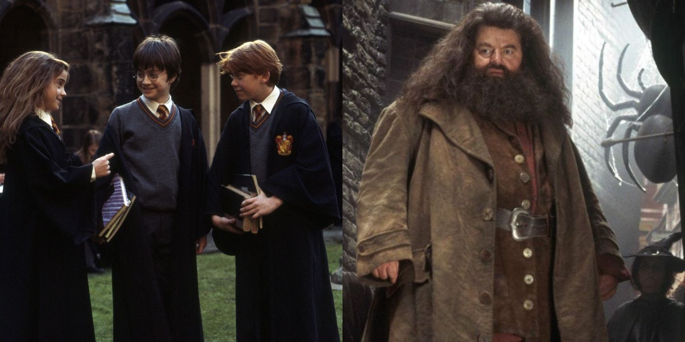 10 Popular Harry Potter Characters That Redditors Despise