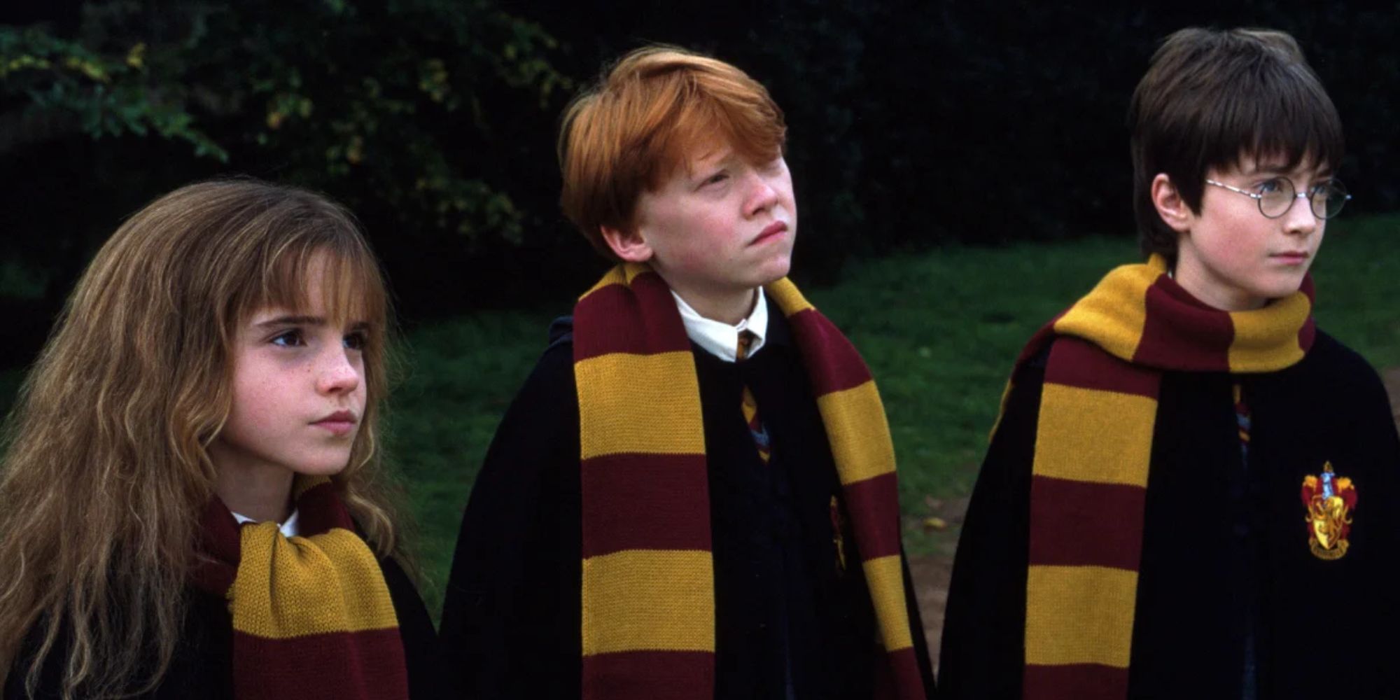 Hermione, Ron, and Harry looking at something in Harry Potter