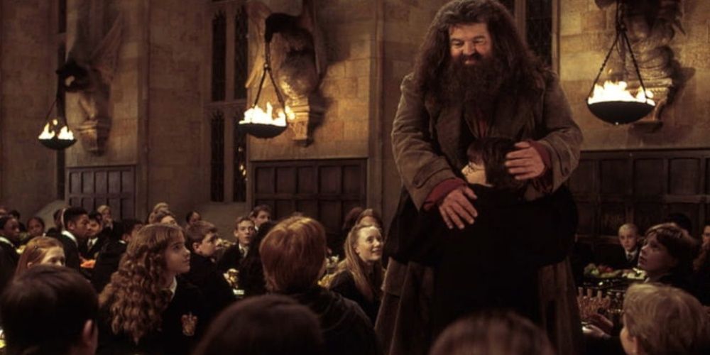 Harry abraça Hagrid na Câmara Secreta 