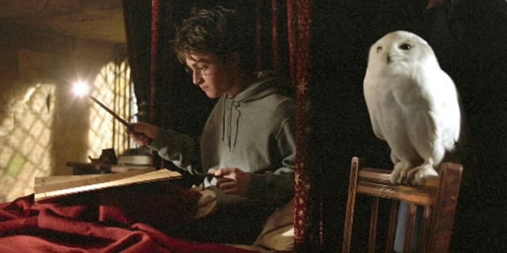Harry reading next to Hedwig in Prisoner of Azkaban