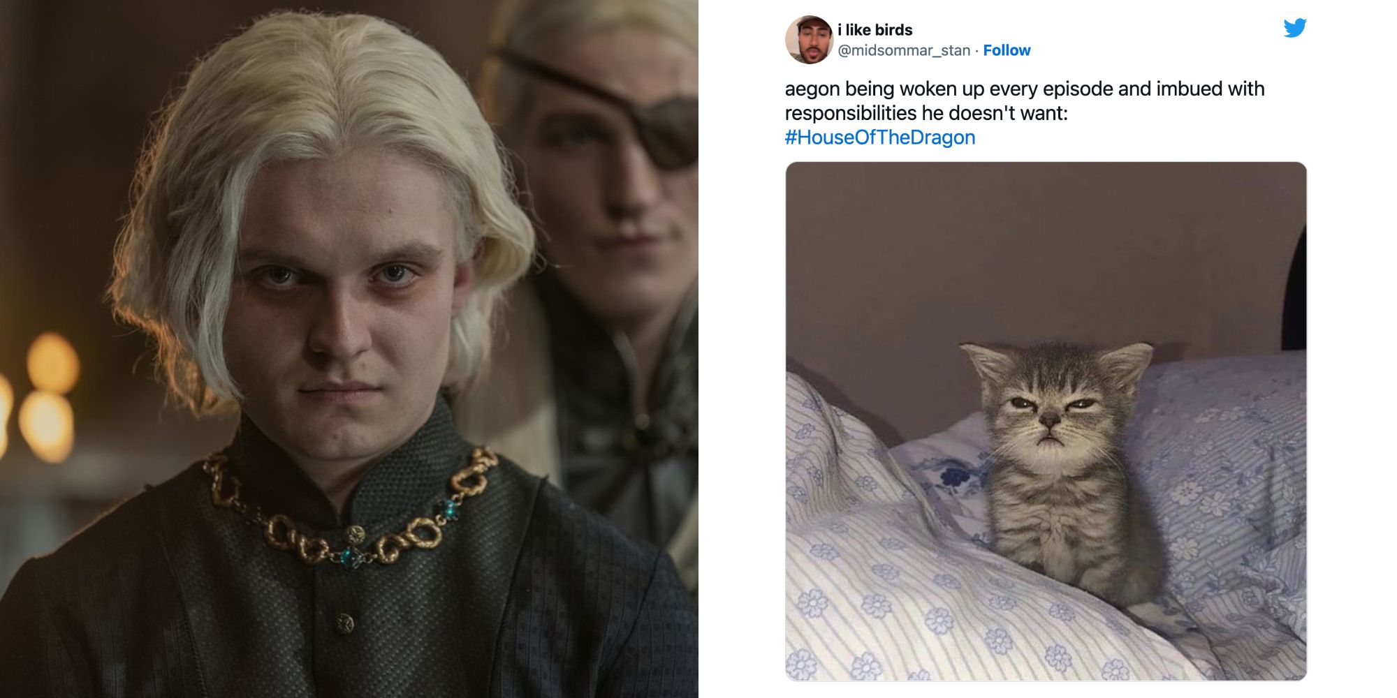 King Aegon Targaryen and a meme about House of the Dragon