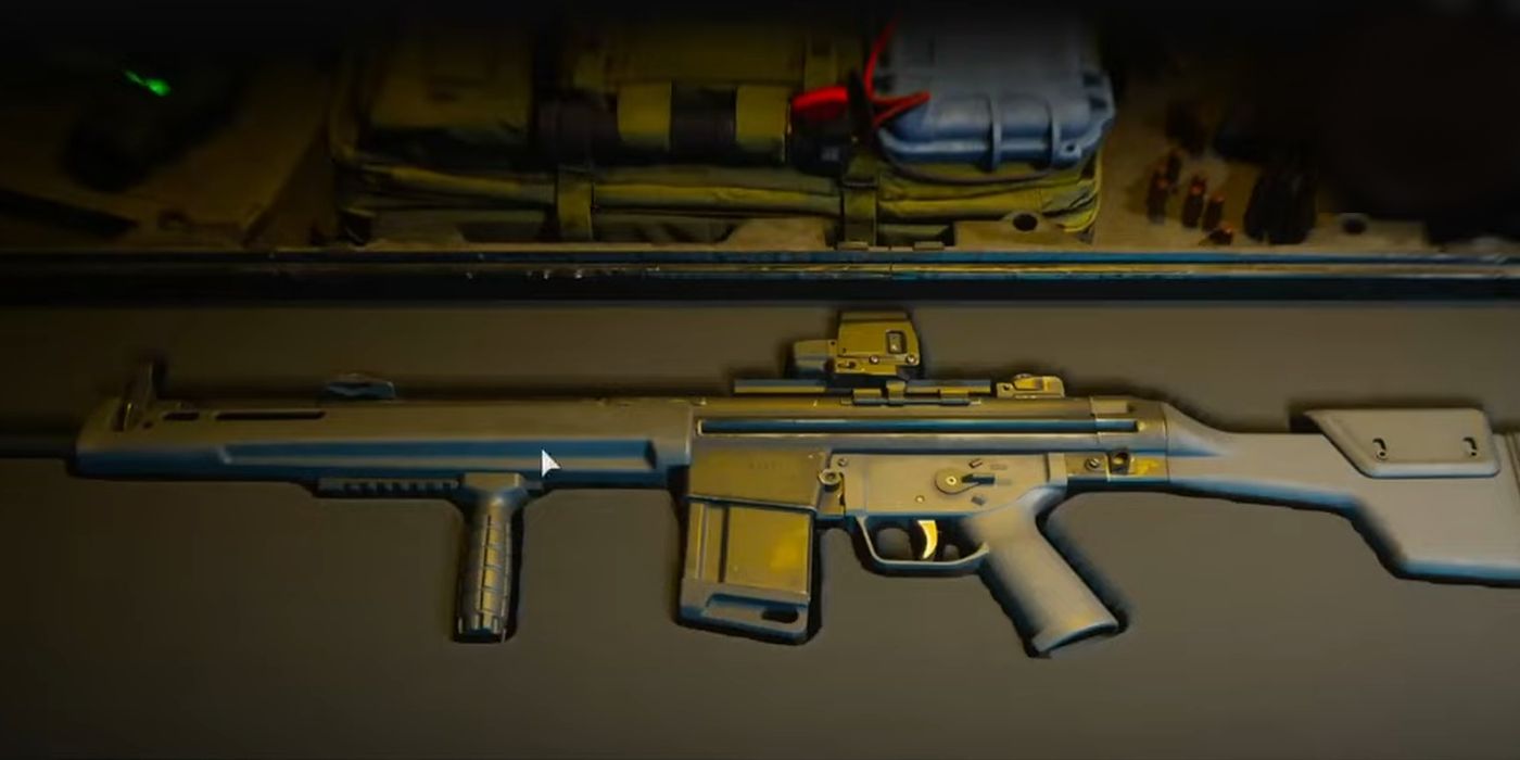 LM-S in a Gun Case in Modern Warfare 2