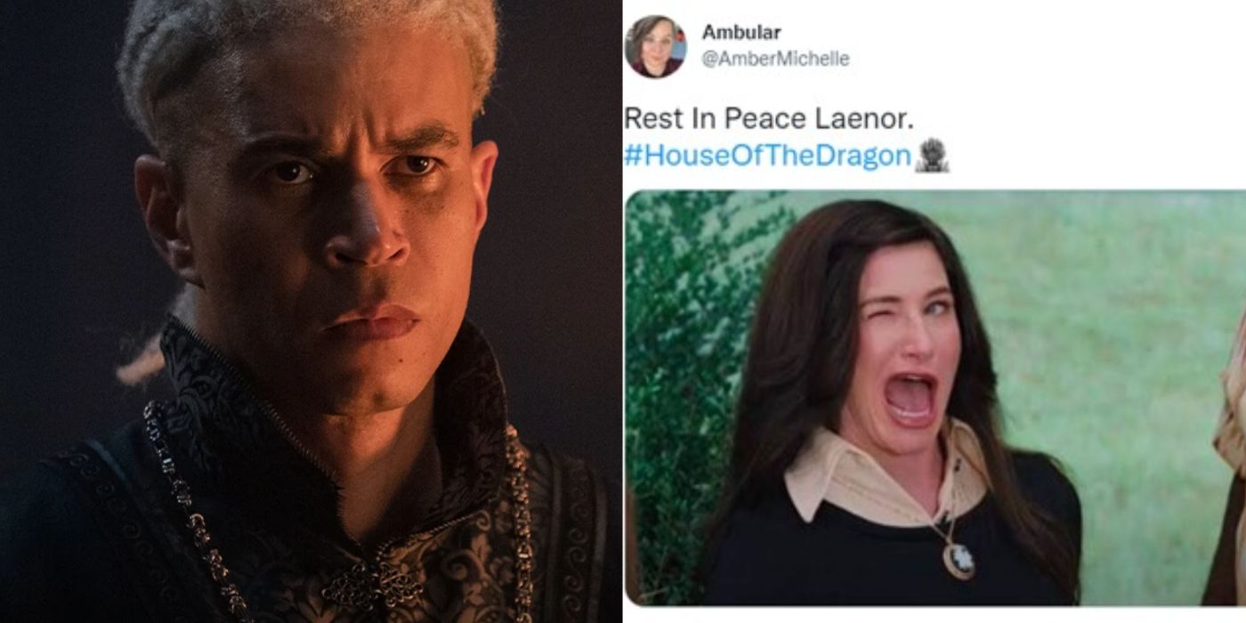 House Of The Dragon: 10 Memes That Perfectly Sum Up Laenor Velaryon As A Character