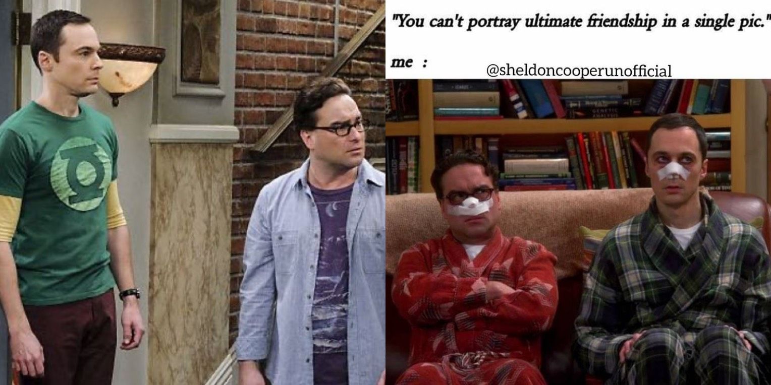 The Big Bang Theory: 10 Memes That Perfectly Sum Up Sheldon And Leonard's Friendship