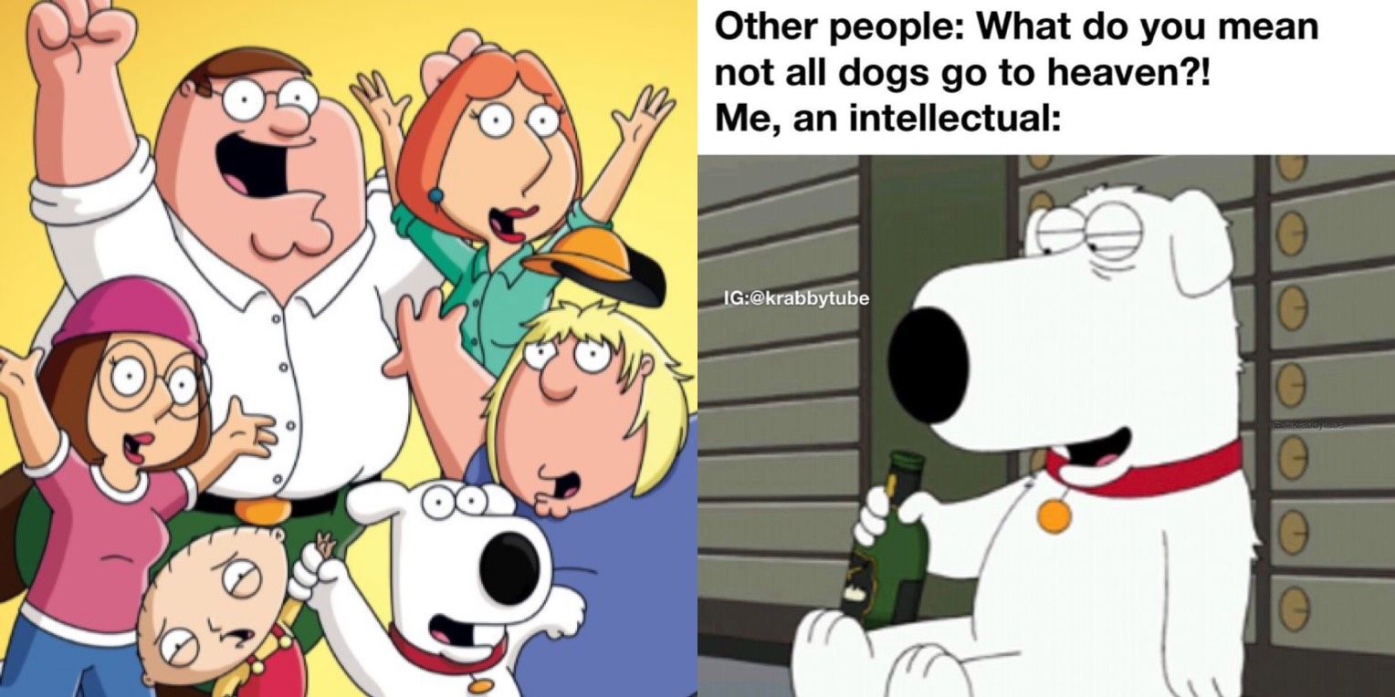 Family Guy: 10 Memes That Perfectly Sum Up The Show