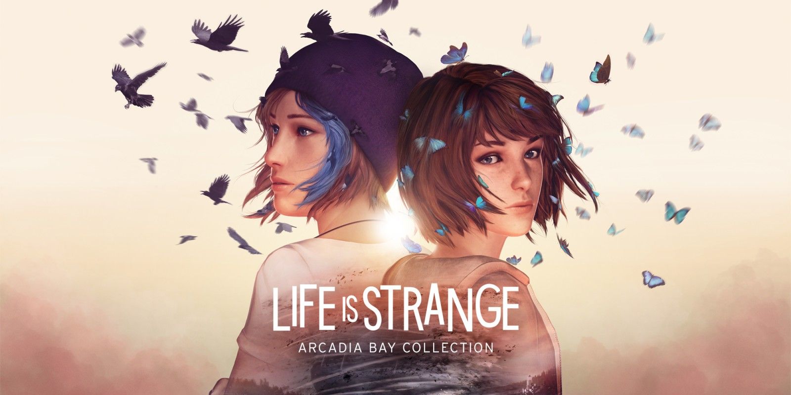 Life Is Strange Arcadia Bay Collection Art