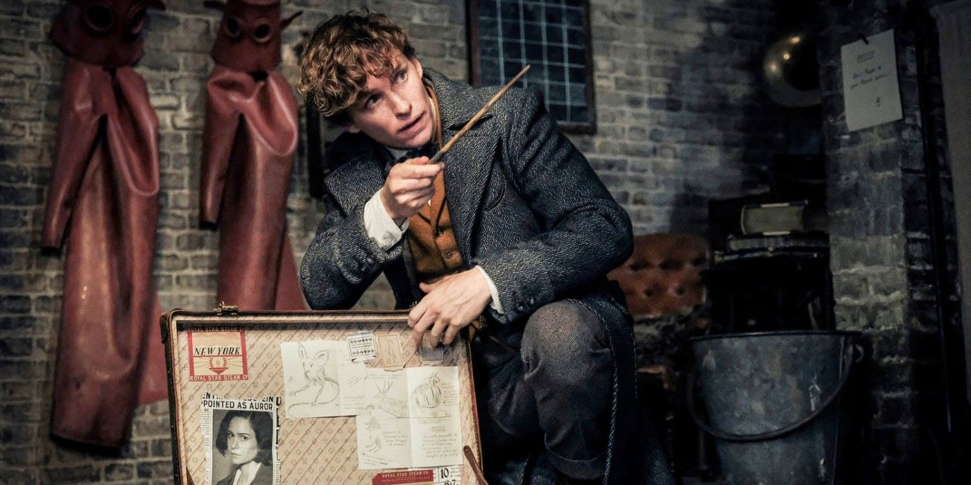 Newt Scamander from Fantastic Beasts briefcase