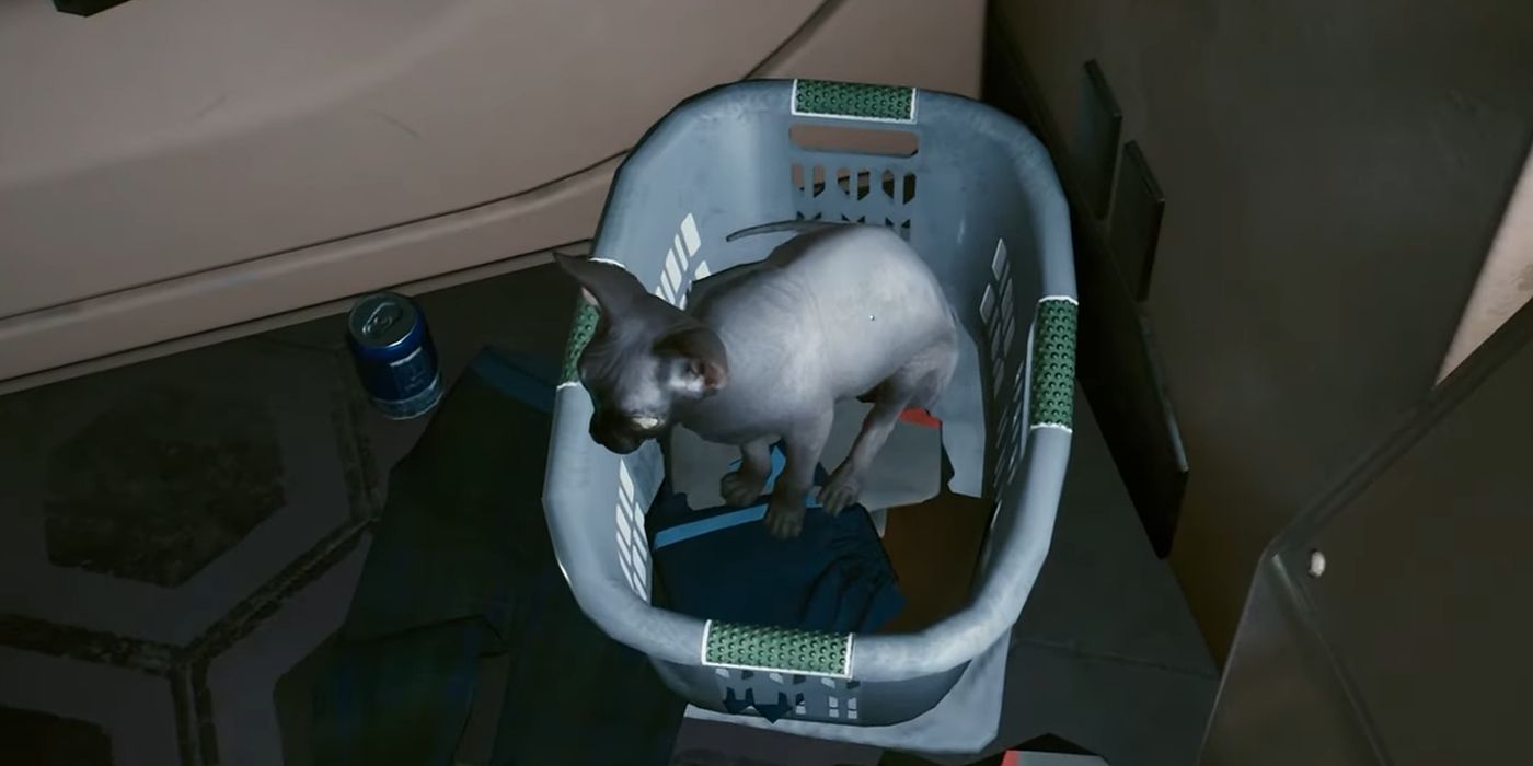 How To Adopt a Cat in Cyberpunk 2077