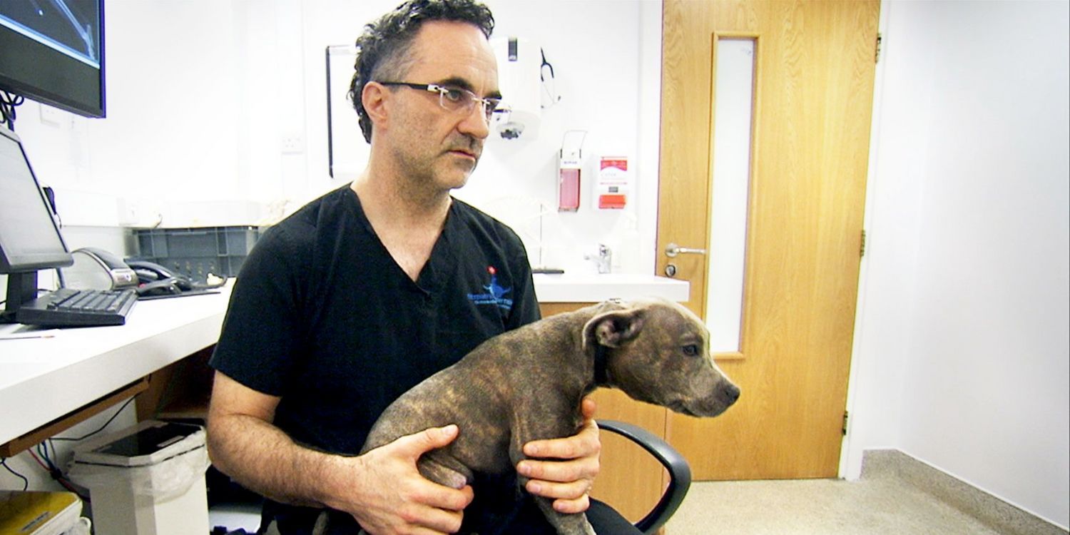 Noel Fitzpatrick with a dog in Supervet