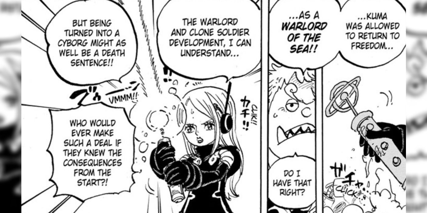 A One Piece Pirate Holds the World Government's Greatest Weapon - Theory