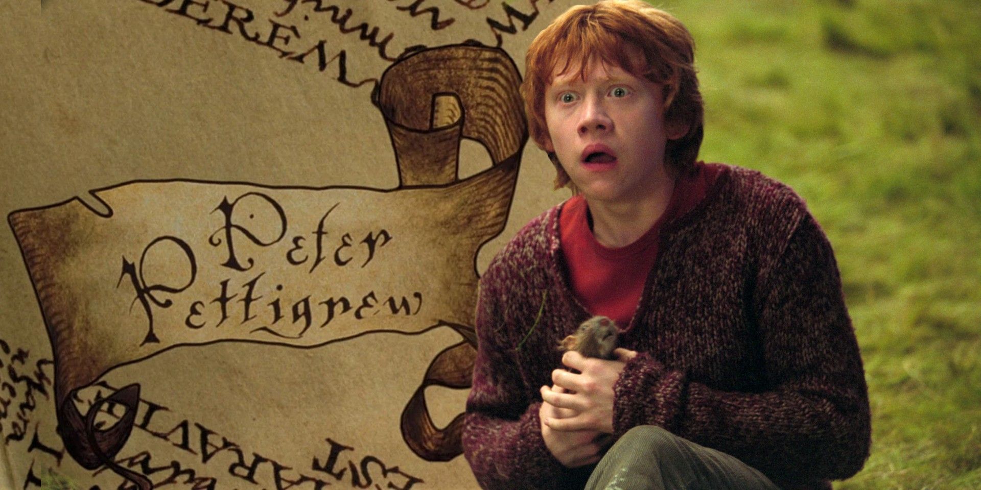 Blended image of Marauders Map with Pettigrew's name and Ron holding Scabbers