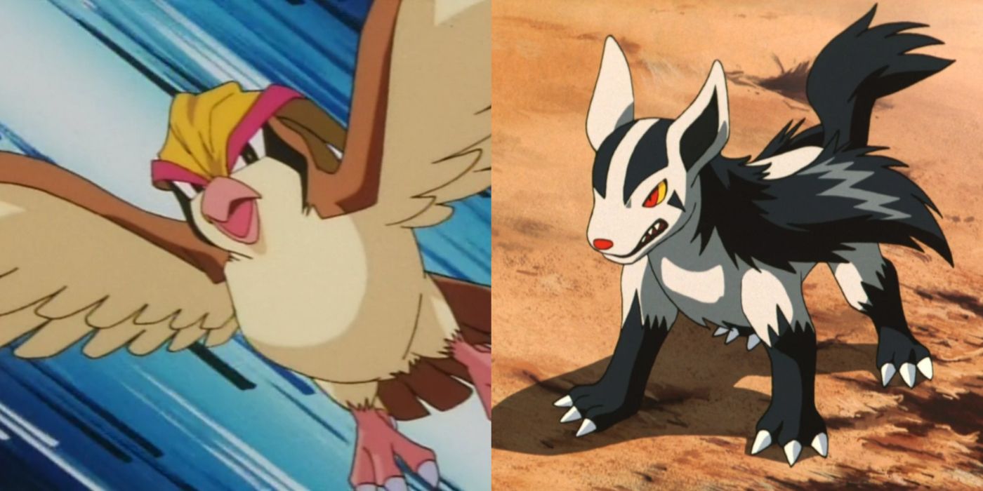 Split image of Pidgeot and Mightyena in the anime.