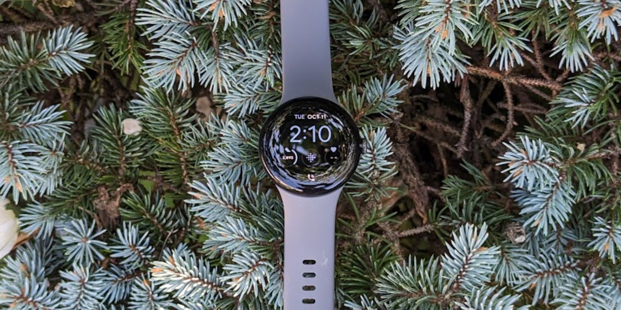 Pixel Watch display close-up with pine background.