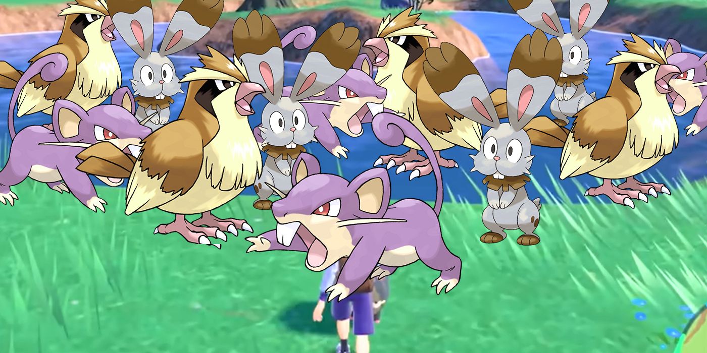 Rattata, Pidgey, and Bunnelby Pokémon stand in front of a scene in a Pokémon game.