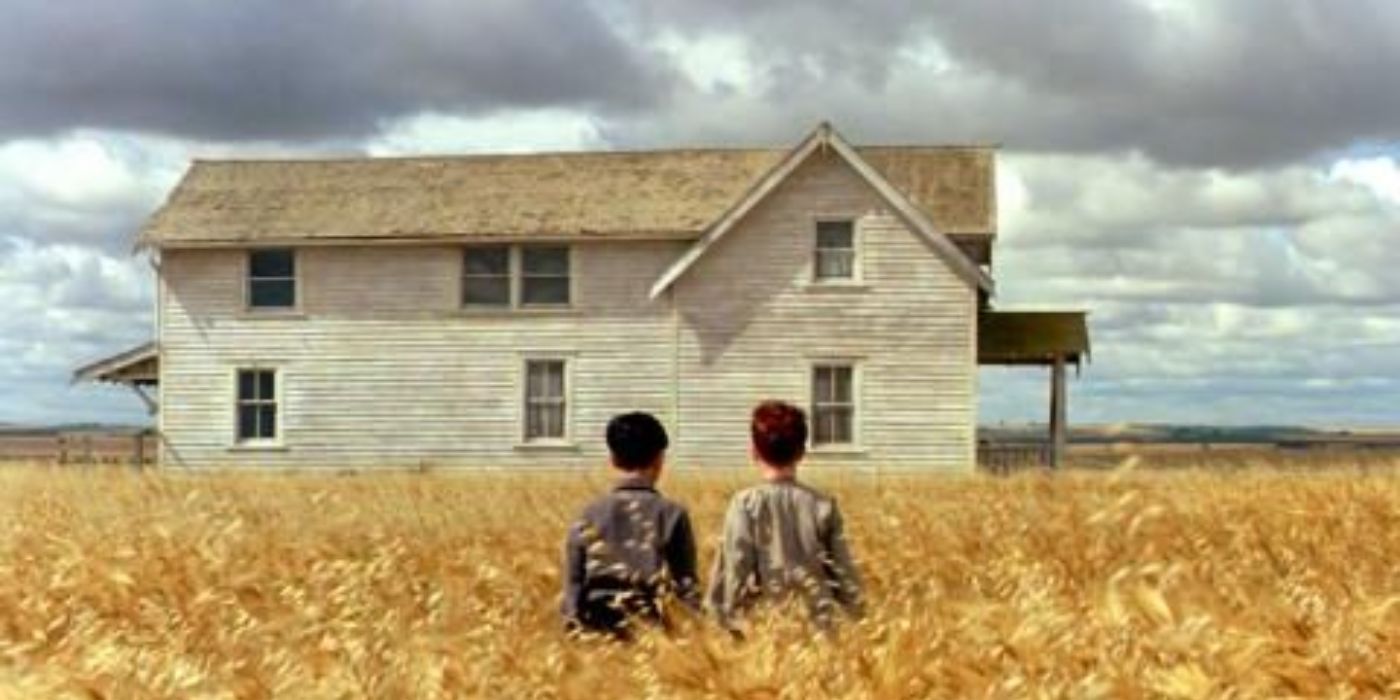 The Reflecting Skin image featuring two boys standing in a wheat field looking at a house.