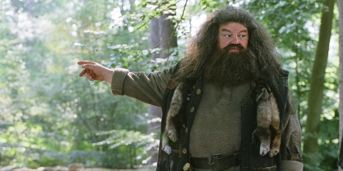 Hagrid dando uma aula em Harry Potter. 