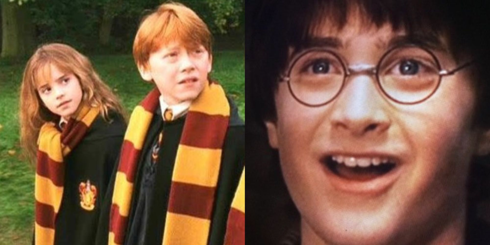 Harry Potter: 10 Memes That Perfectly Sum Up The Entire Franchise