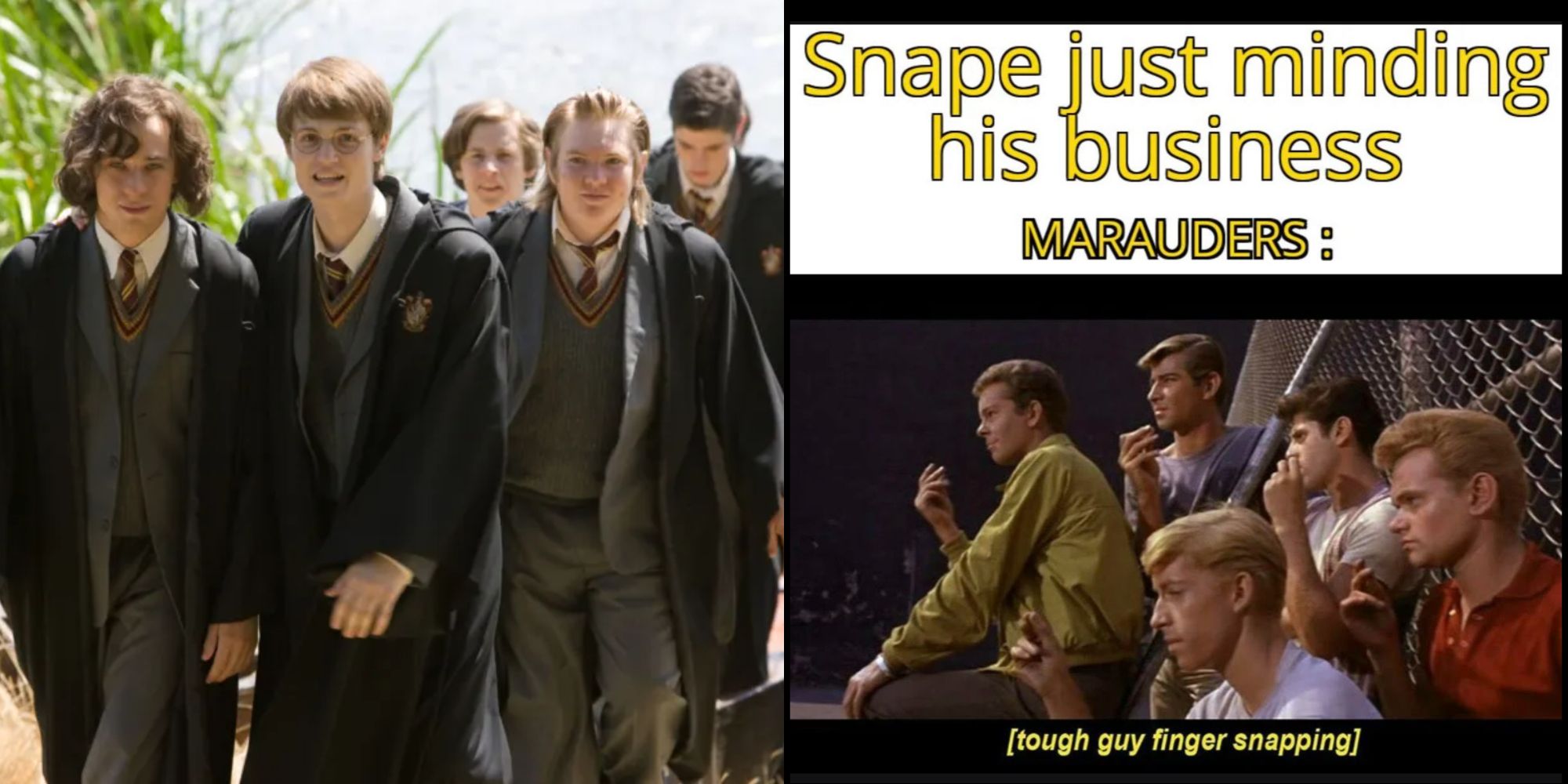 Split Image of the Marauders and a meme about them Bullying Snape