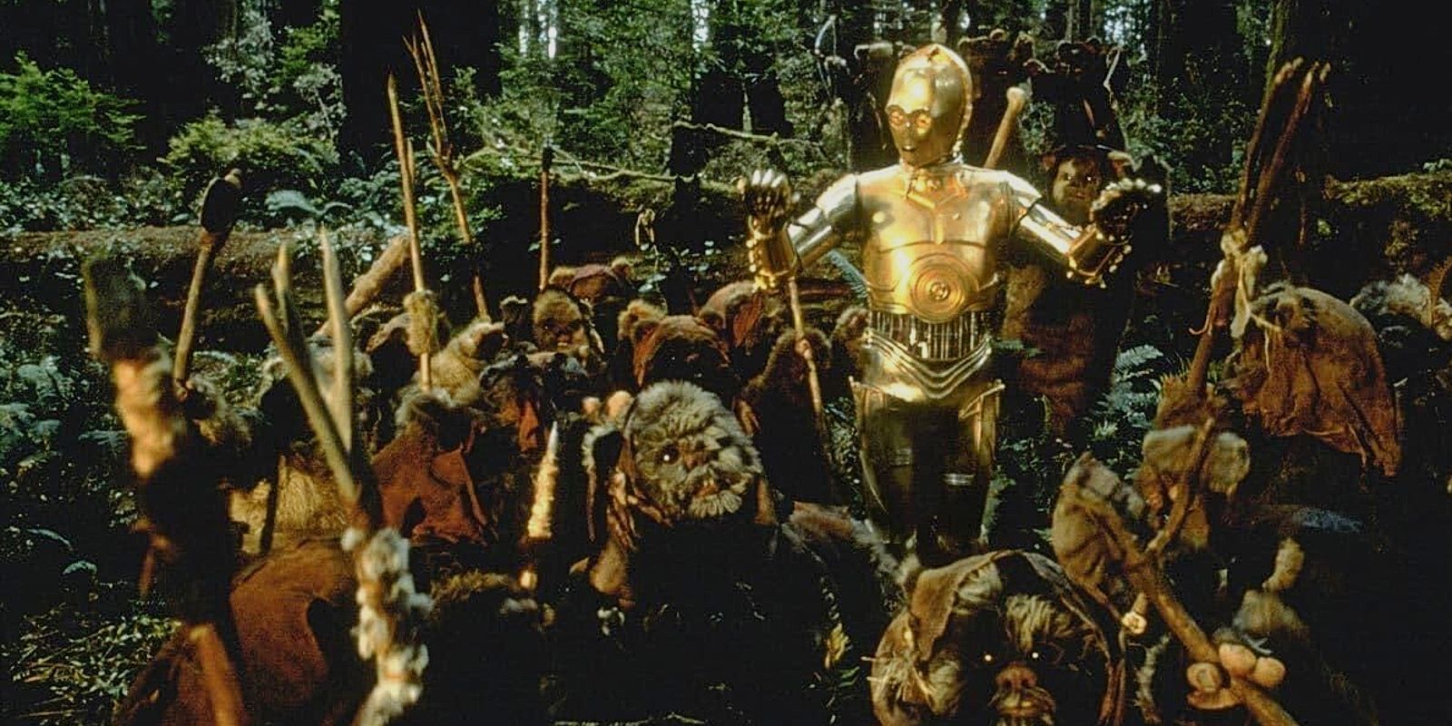 Star Wars C-3PO and Ewoks