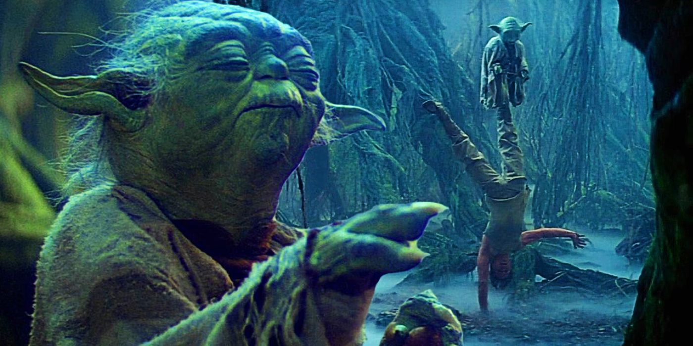Star-Wars-Yoda-and-Yoda-Training-Luke-1