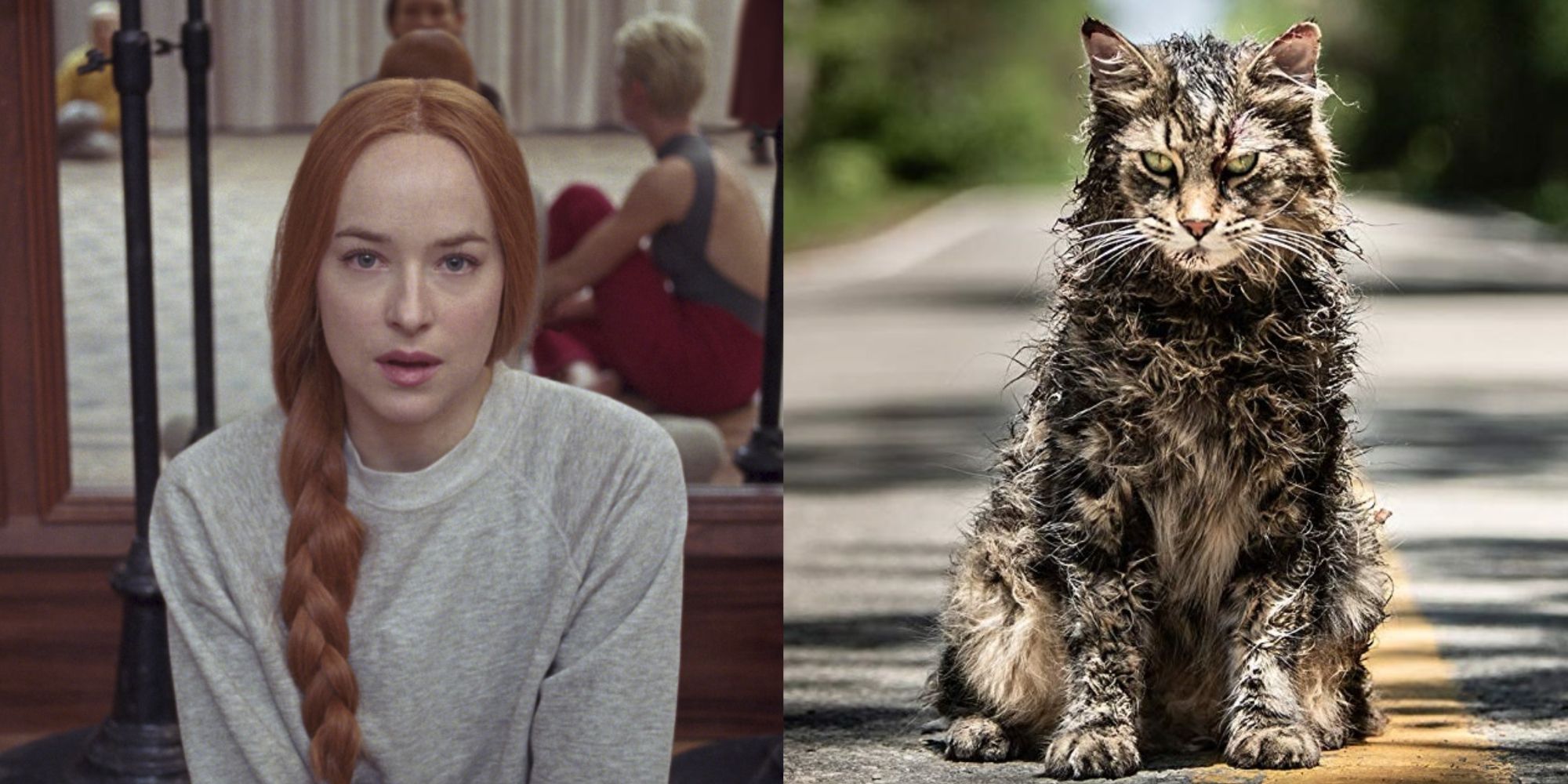 Scenes from Suspiria and Pet Sematary