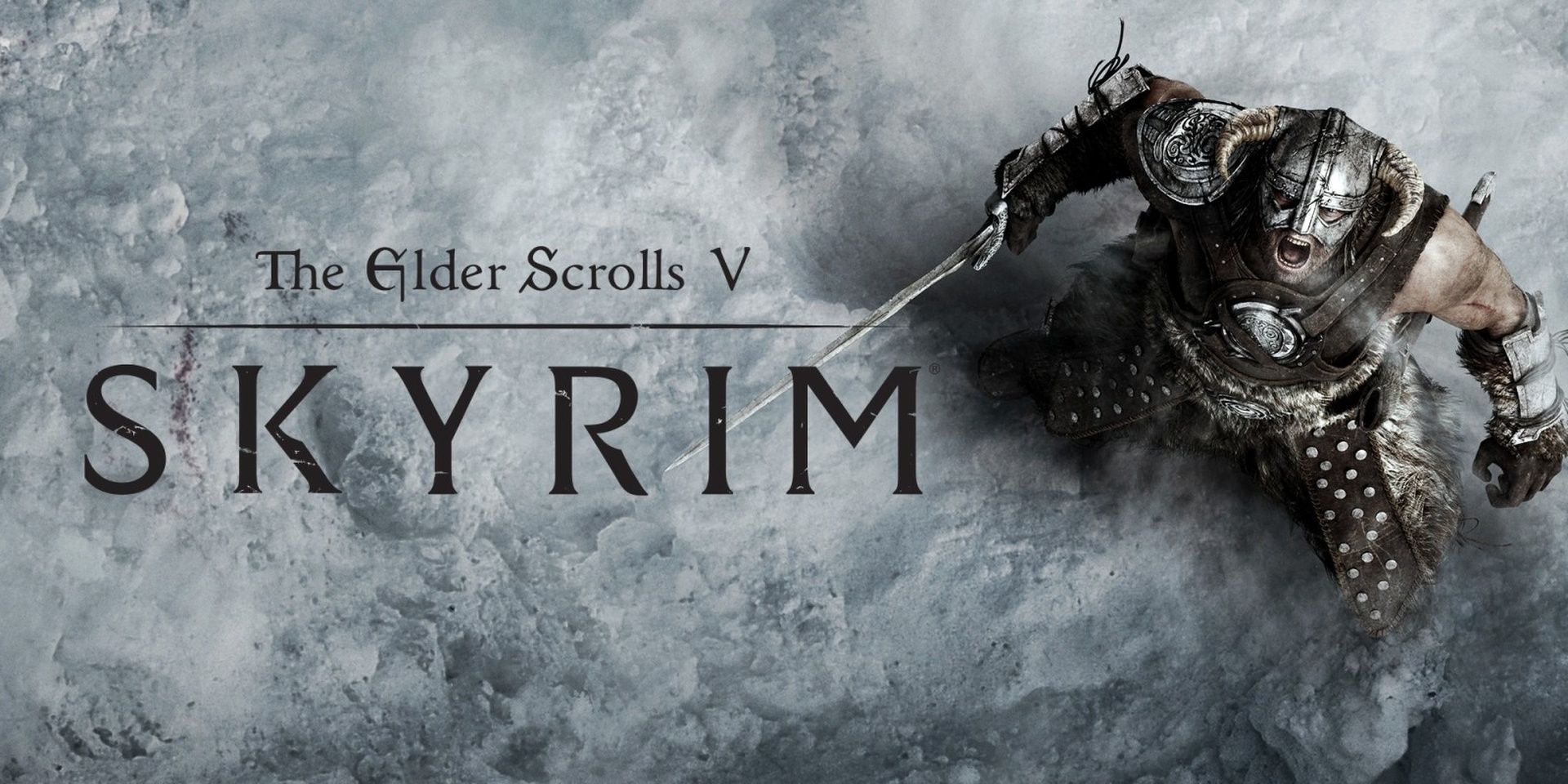 The Elder Scrolls V Skyrim image cover for the Nintendo Switch