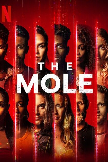 The Mole TV Series poster