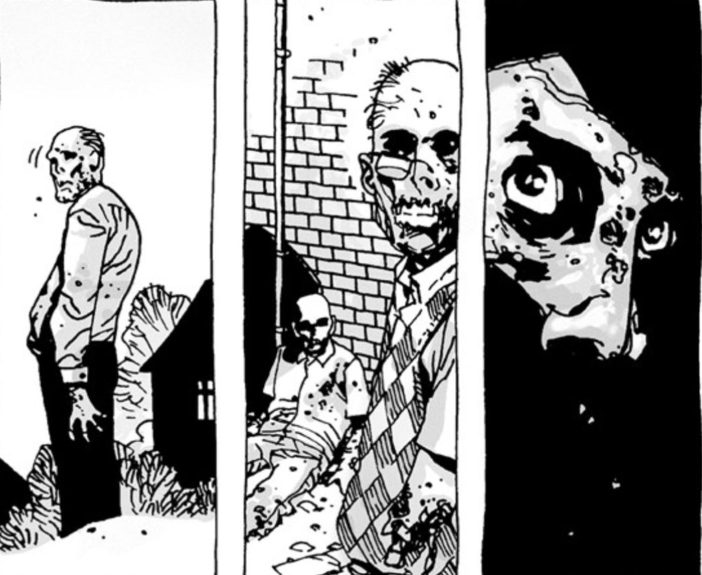 The Walking Dead George A. Romero Cameo Image Comics