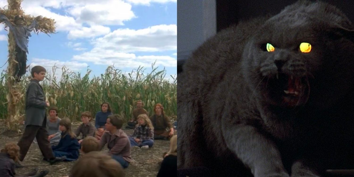 The children of the corn in a field and Church the cat hissing