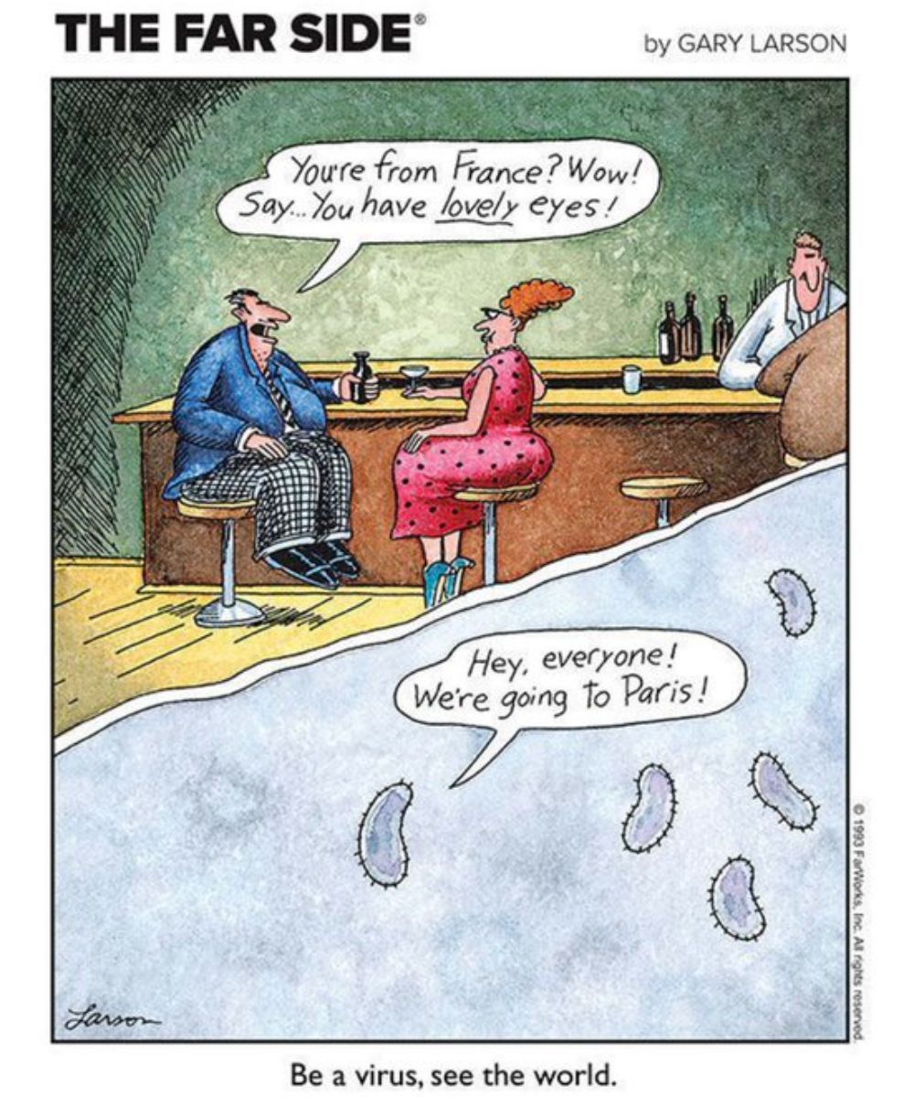 Gary Larson Aviation Cartoons - Infoupdate.org