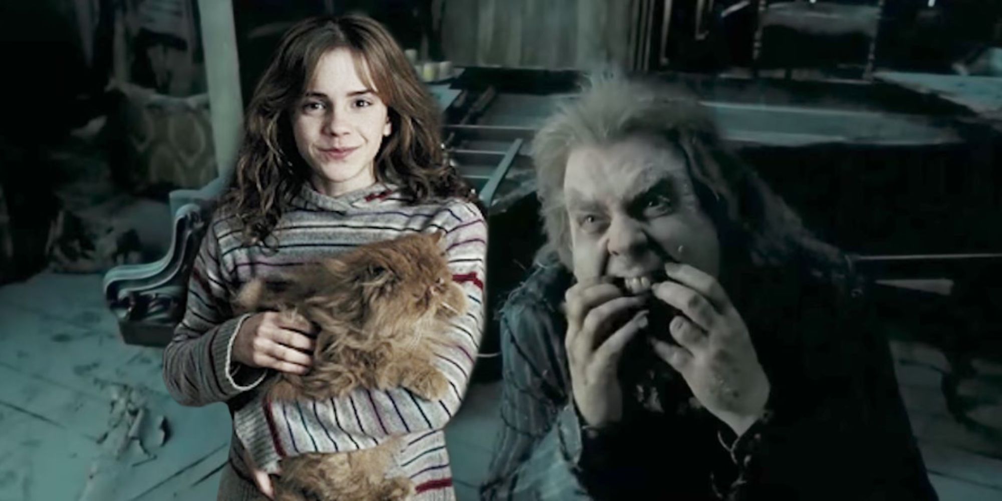 Hermione Granger, Crookshanks, and Peter Pettigrew from Harry Potter and the Prisoner of Azkaban