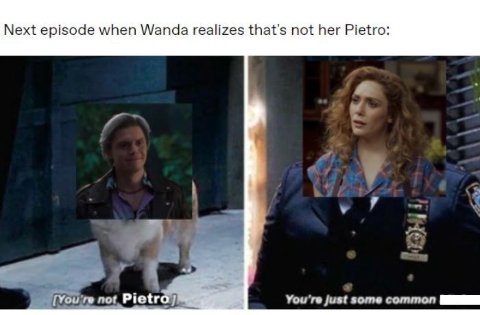 Screencap from Brooklyn 99 with text edited, Wanda looking at Pietro&rsquo;s face on a dog and saying &ldquo;You&rsquo;re not Pietro, you&rsquo;re just some common ****&quot;