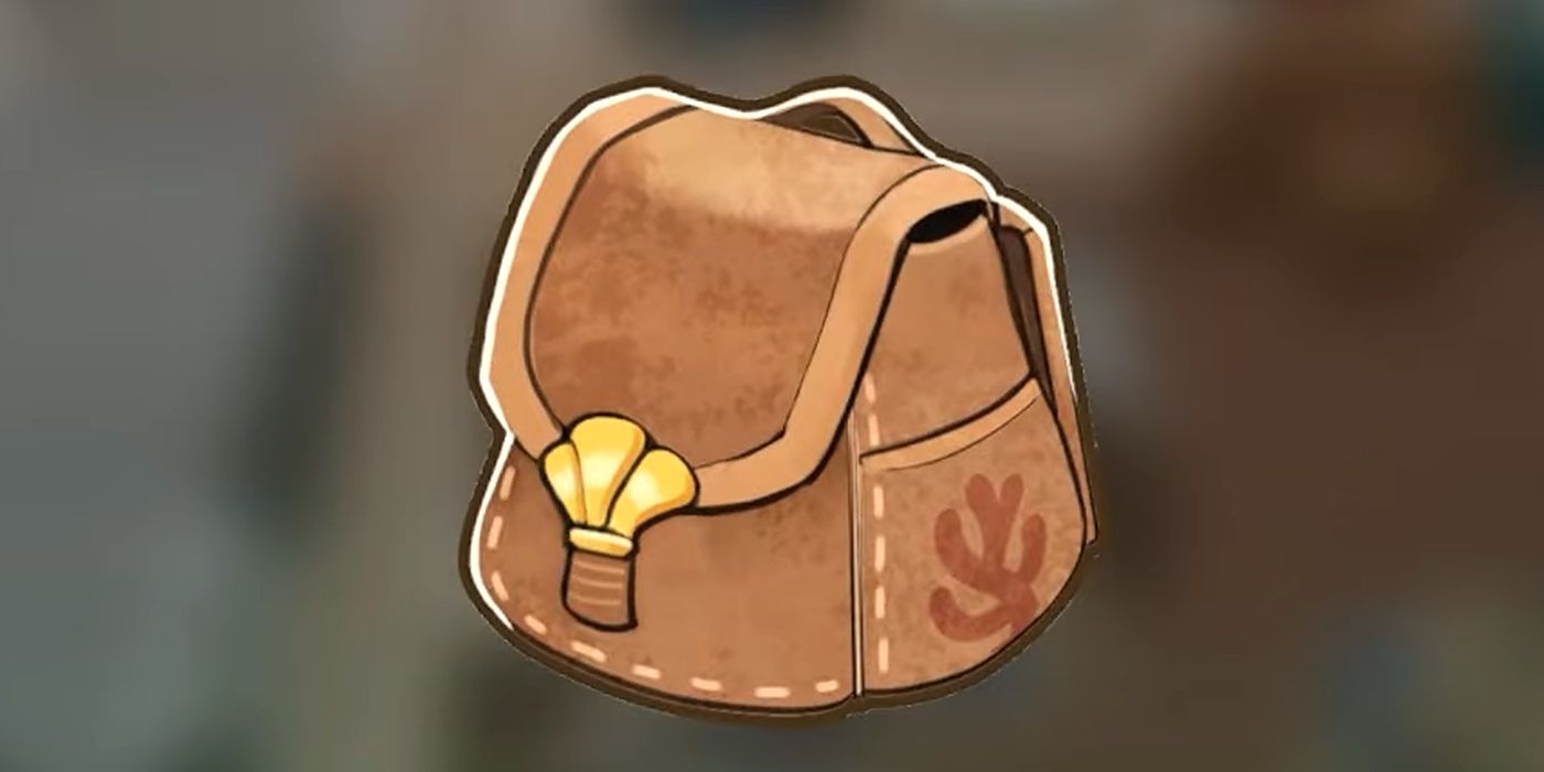 Upgraded Backpack in Coral Island