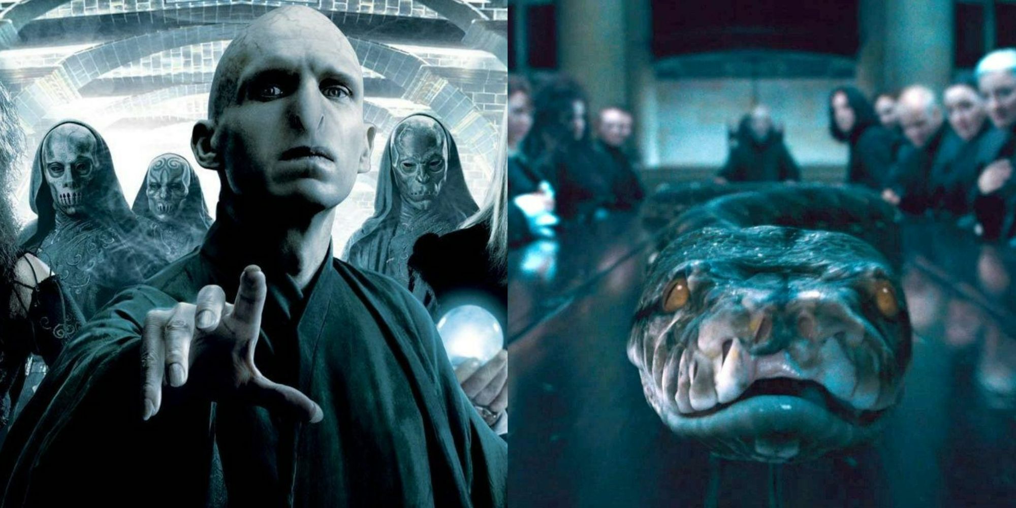 A split image of Voldemort on the left and Nagini on the right from Harry Potter. 