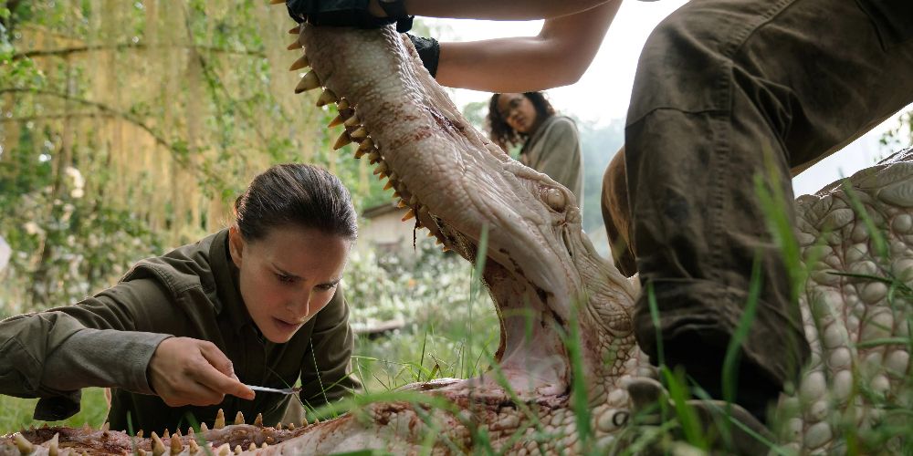 Lena inspects alligator teeth in Annihilation