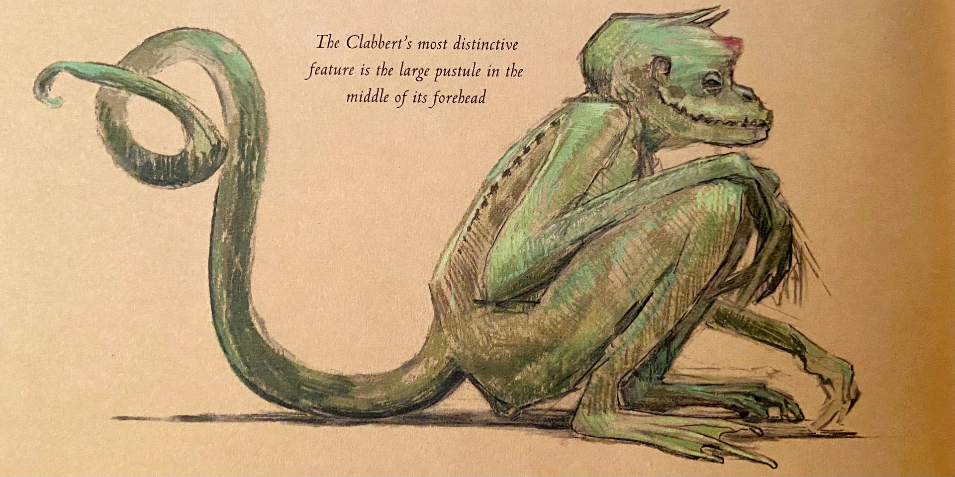 Clabbert in Fantastic Beasts illustrated edition