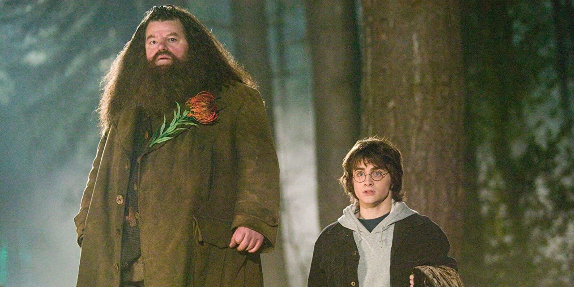 Hagrid & Harry Potter