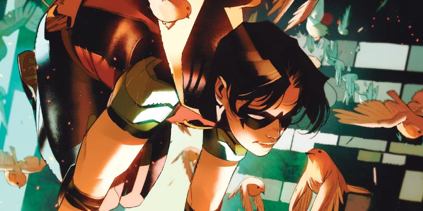 Robin Reminds Everyone of His TRUE Purpose in DC's Universe