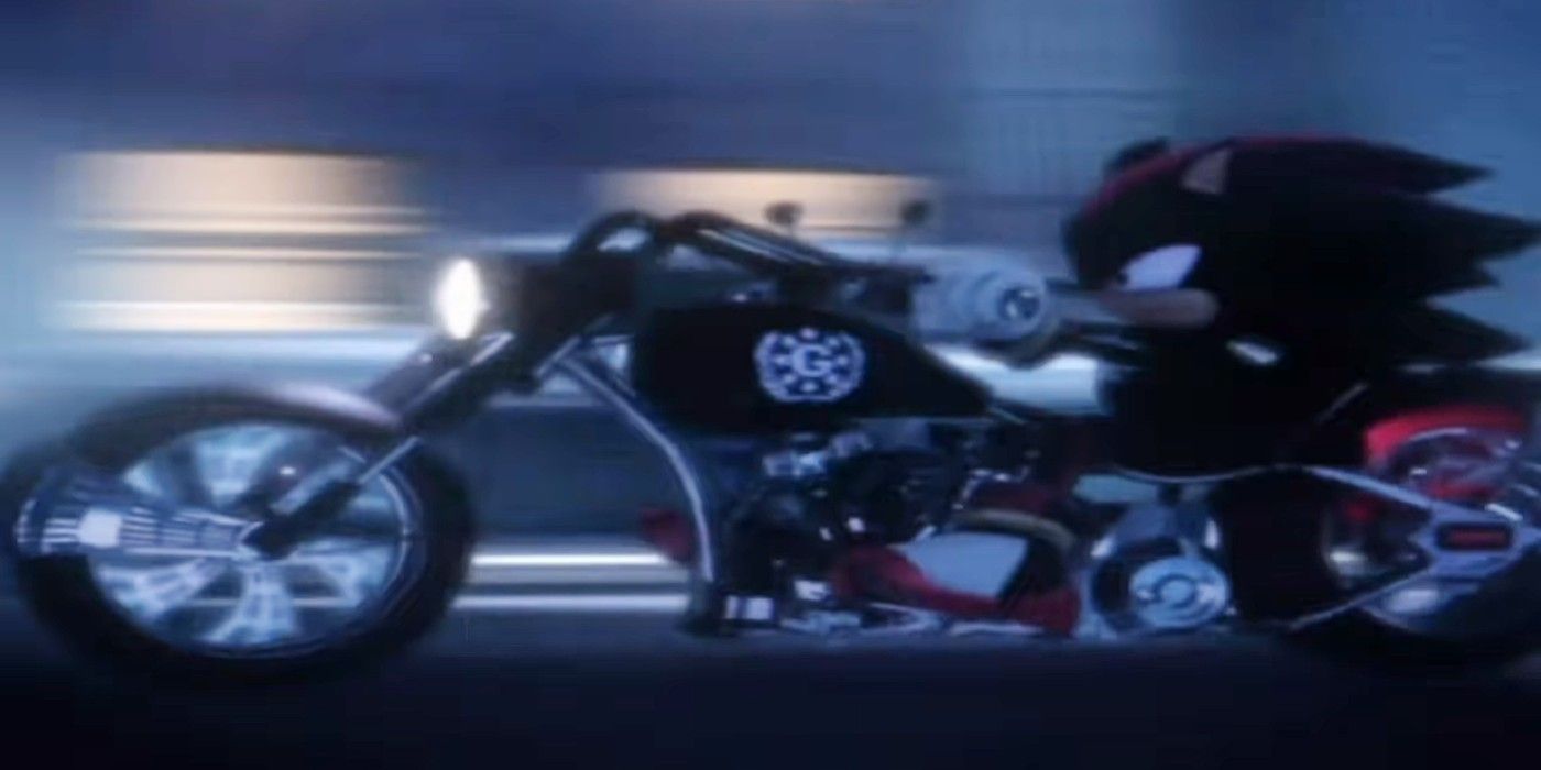 Shadow the Hedgehog on a motorcycle.