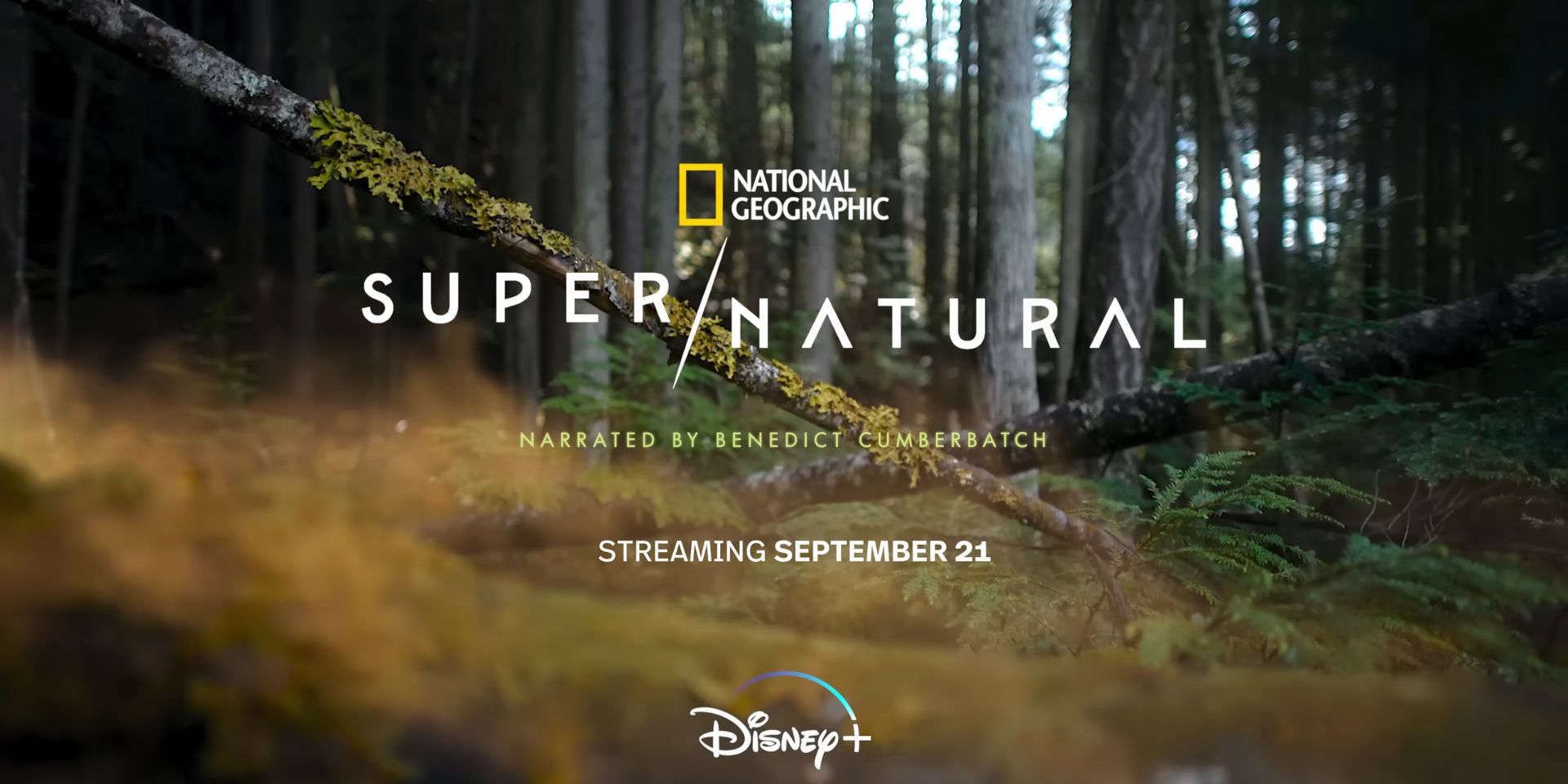 sobrenatural no Disney+ Hallowstream