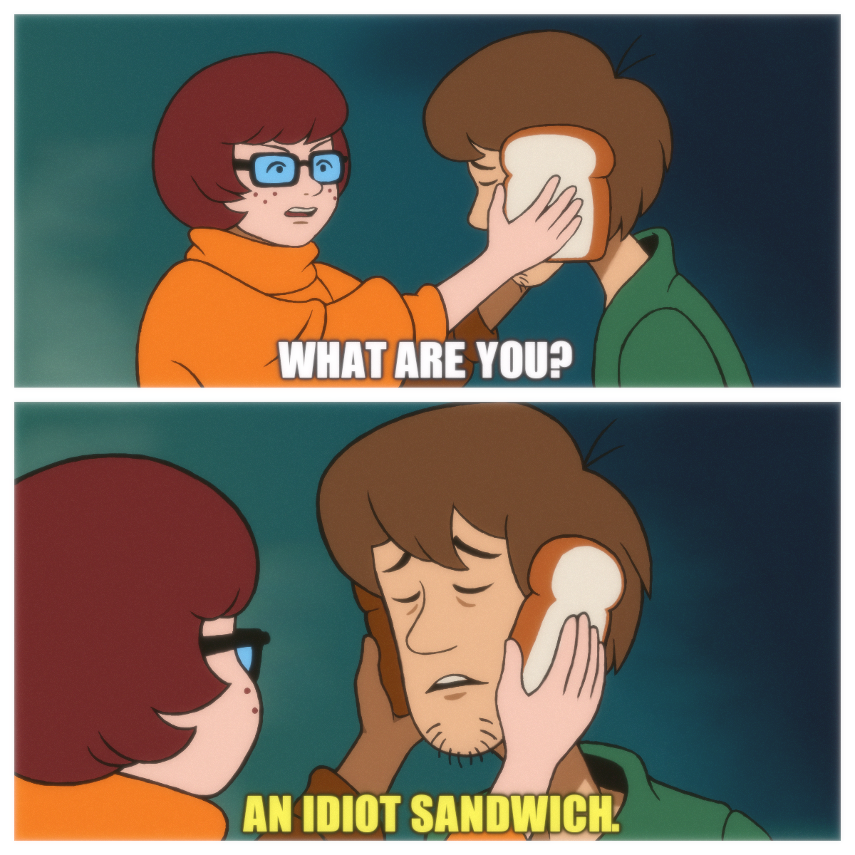 Velma forces Shaggy to admit that he's an idiot sandwich