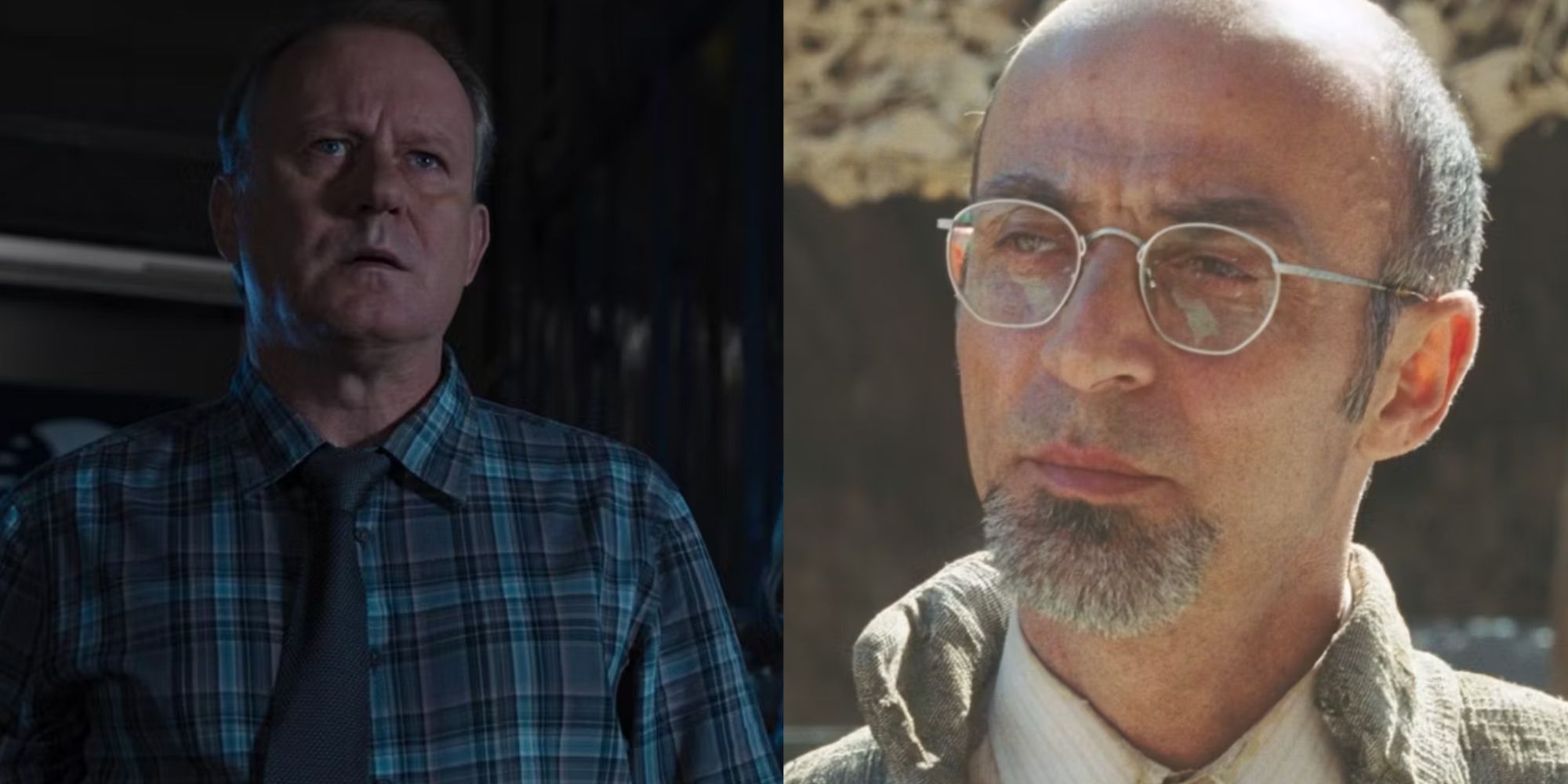 Split image of Erik Selvig in The Avengers and Yinsen in Iron Man